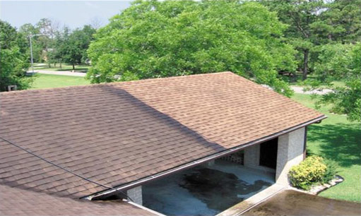 Roof Cleaning